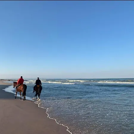 Retreat شقة فالنسيا