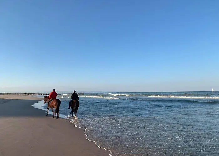 Retreat 公寓 瓦伦西亚