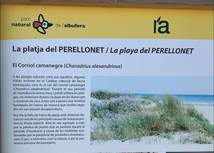 Retreat * 瓦伦西亚